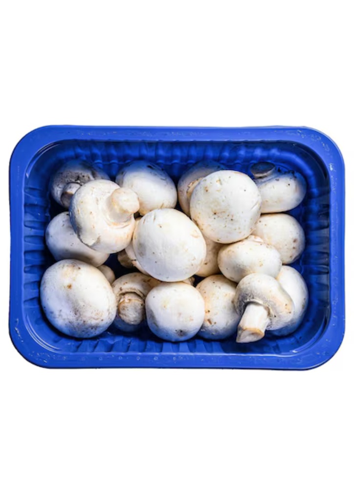 CHAMPIGNON FRAIS  500G